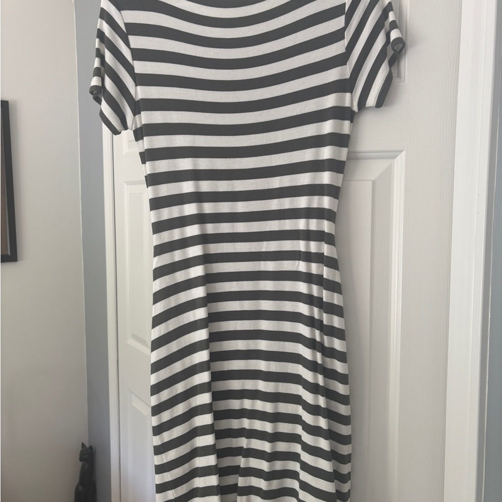 Market & Spruce Green and White Sheath Mini Dress